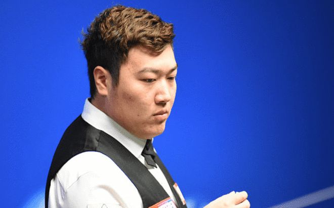 质与赔率波 质与赔率波