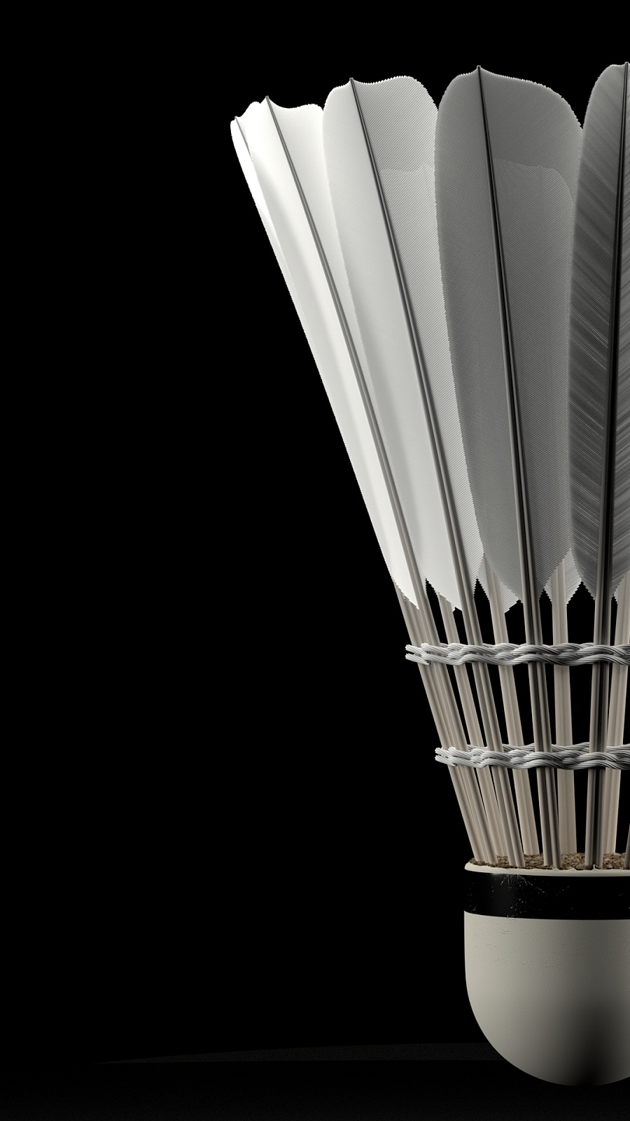 迪洛伦佐所 迪洛伦佐所